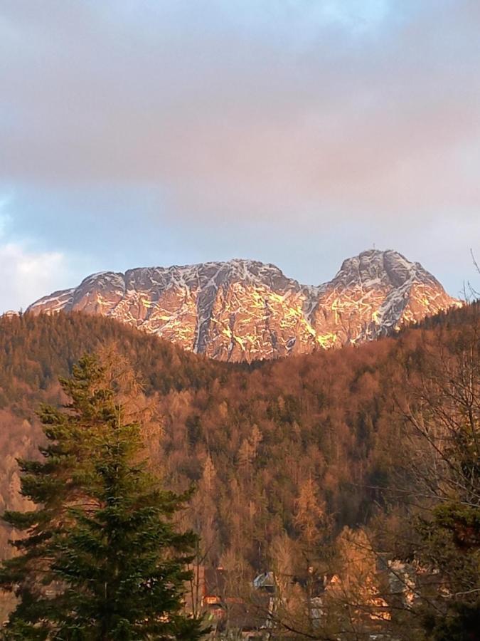 U Tylki Studio Z Widokiem Na Gory Zakopane Dış mekan fotoğraf